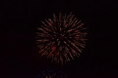 DSC_3392 (Large).JPG